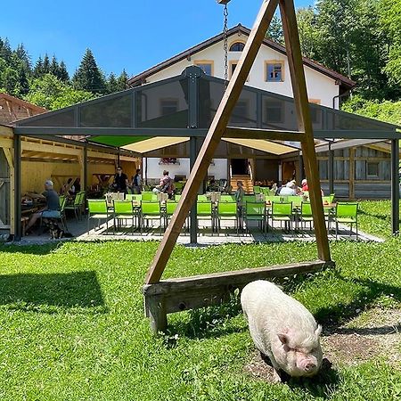 ホテル ガストホフ ファルミューレ プフロンテン エクステリア 写真